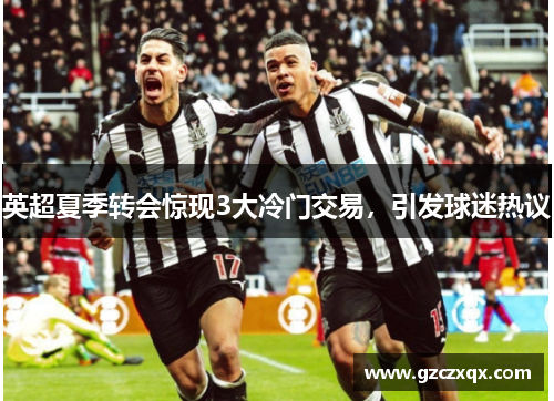 英超夏季转会惊现3大冷门交易，引发球迷热议